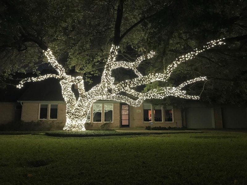 Professional Christmas lights